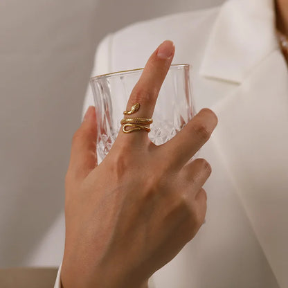 Anillo Ouroboros