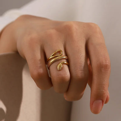 Anillo Ouroboros