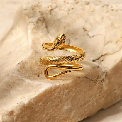 Anillo Ouroboros